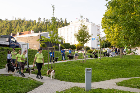 Pasji športni dan_6. 8. 2025 (1)